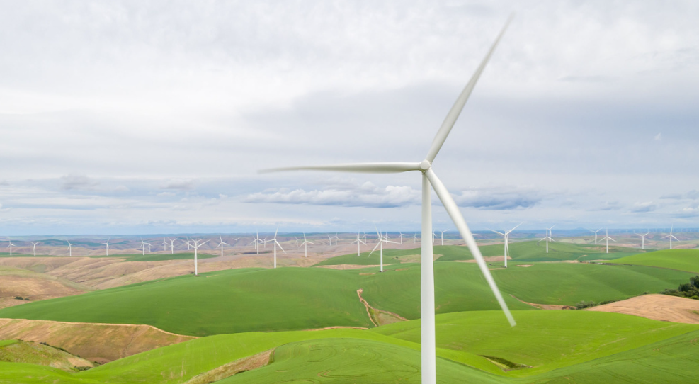 How Renewable Energy Tech Is Reshaping Our World