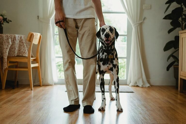 public caller complaint 18888955705 alerts